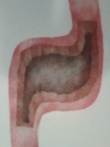 stomach pic