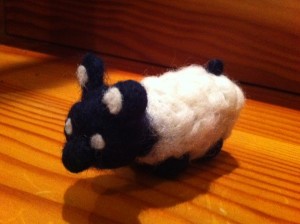 photo (27)